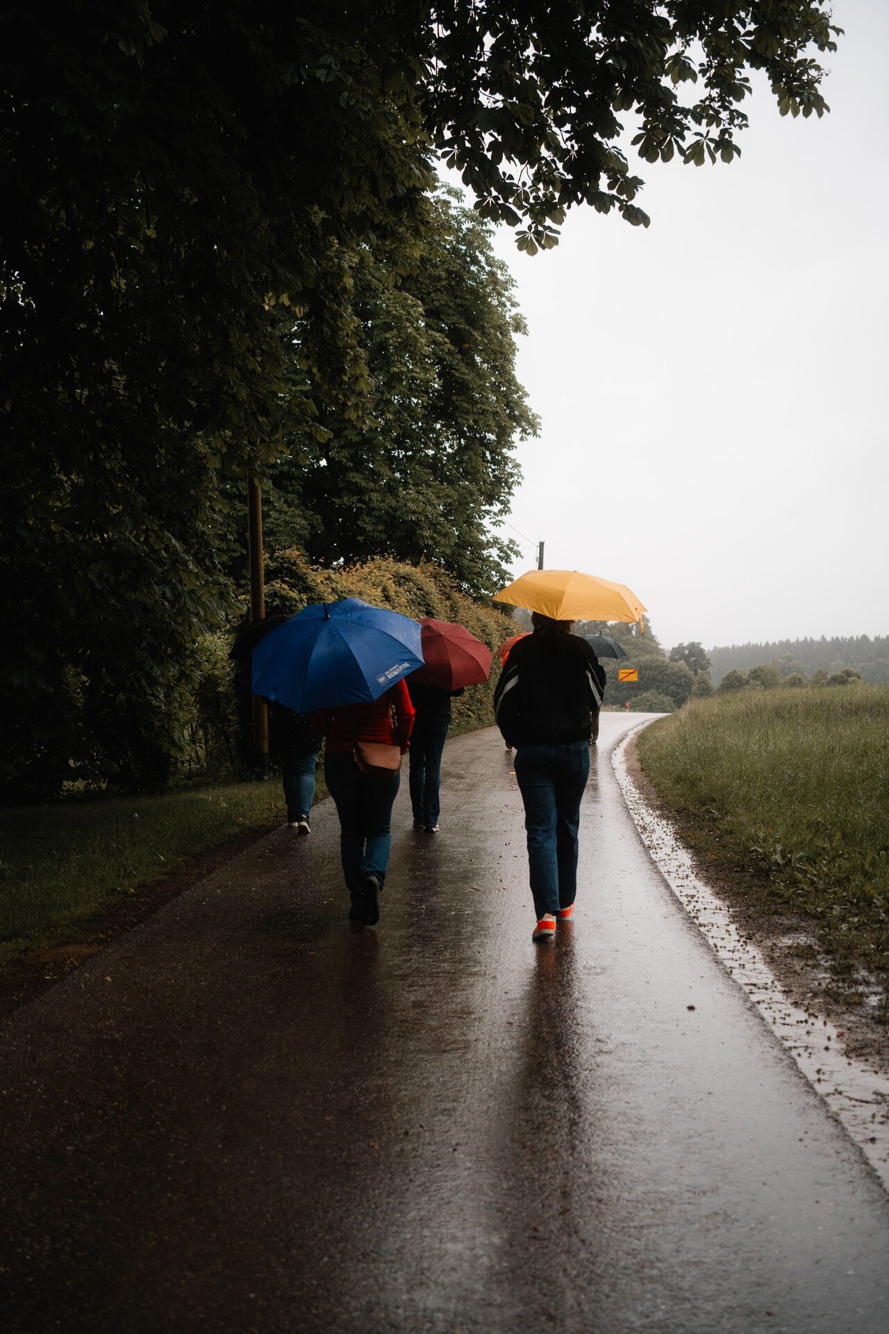 Gruppe in der Natur