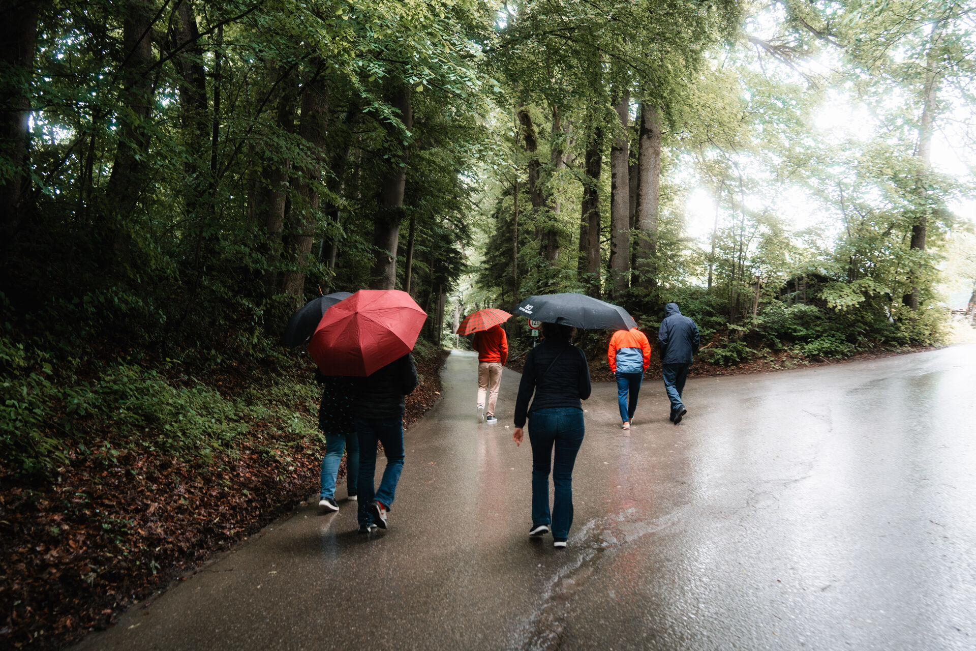 Spaziergang in der Natur am Wallberg